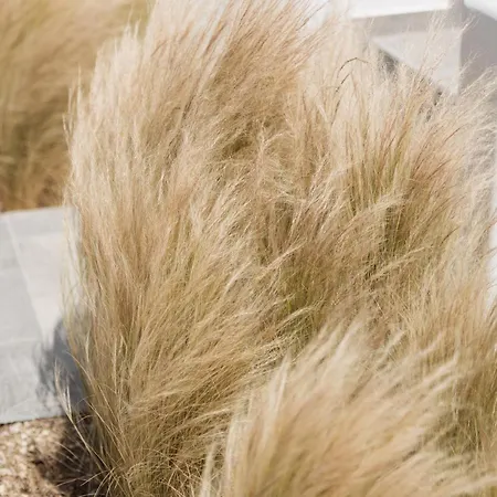 Mazera Boutique Mykonos Town