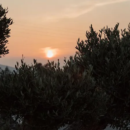 Mazera Boutique Hotel Mykonos Town