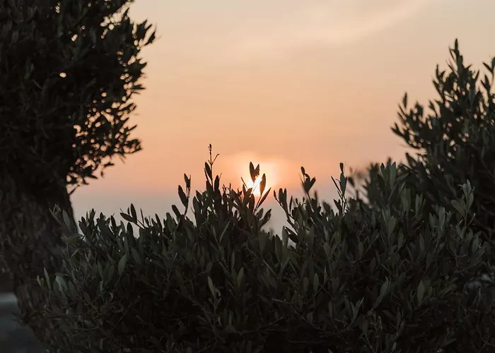 Mazera Boutique 酒店 4*