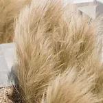 Mazera Boutique Mykonos Town