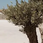 Otel Mazera Boutique Mykonos Town