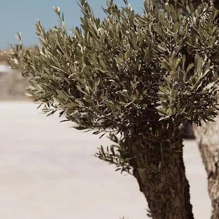 Отель Mazera Boutique Mykonos Town