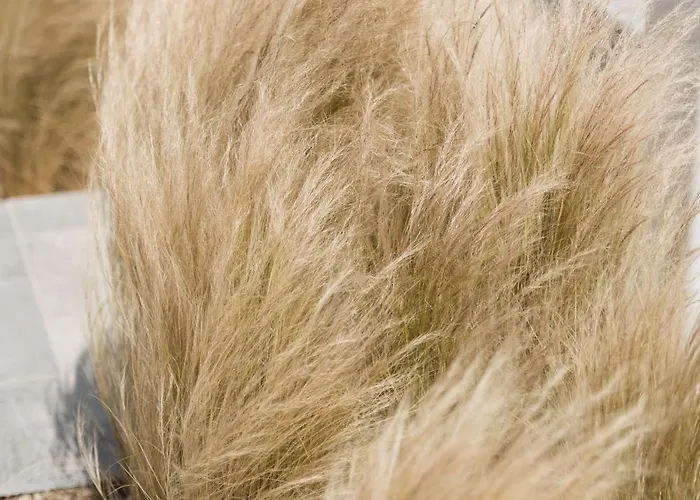 Mazera Boutique Mykonos Town