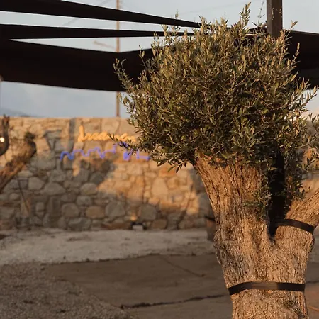 Mazera Boutique فندق 4*