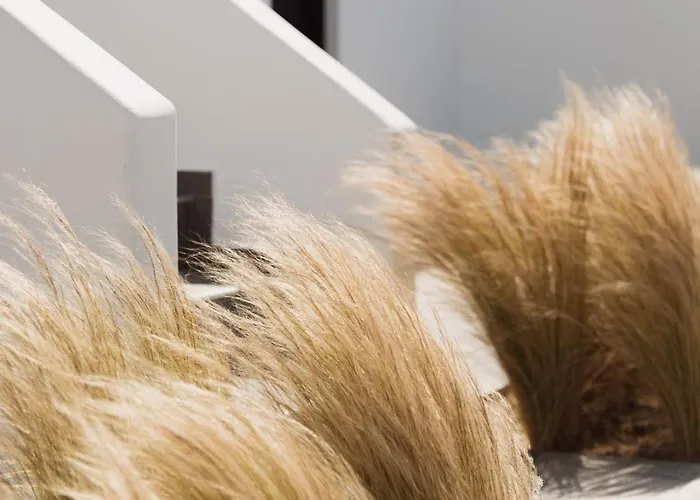 酒店 Mazera Boutique 4*