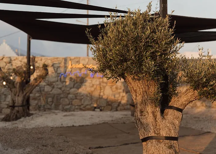 Mazera Boutique 酒店 4*