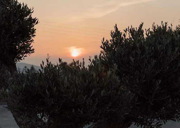 Mazera Boutique 酒店 Mykonos Town